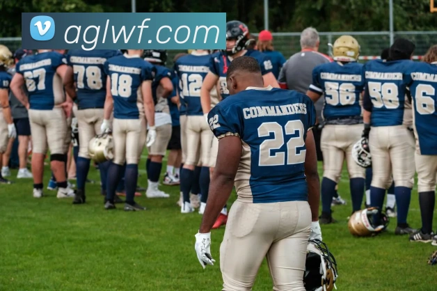 ag官网平台生态图