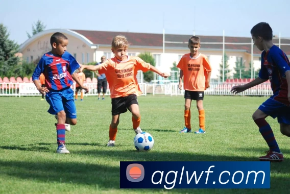 辅助工具 辅助工具